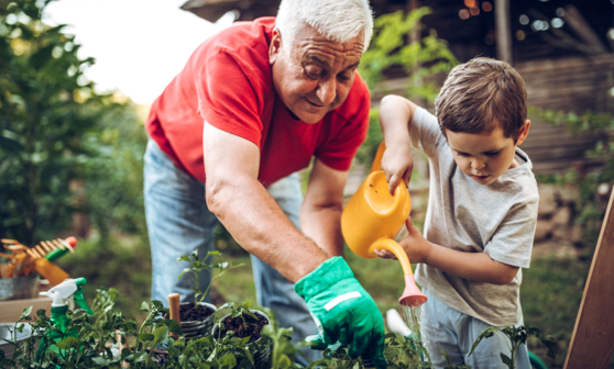 grandfather and grandson gardening